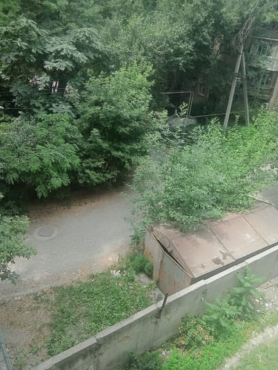 An exterior, high-angle, full shot captures a nondescript urban scene, likely in Alamüdün, Kyrgyzstan. Dense green foliage, characteristic of a temperate climate, dominates the upper portion of the frame, obscuring parts of a weathered, multi-story building with visible windows. A concrete utility pole, supporting electrical wires, stands prominently in the middle ground, angled to the right. Below the foliage, a narrow, unpaved pathway winds through the scene, marked by a circular manhole cover. To the right of the path sits a large, rusted metal dumpster, its lid partially ajar. A low, concrete wall runs along the bottom of the image, separating the pathway and dumpster from an area of overgrown green grass and weeds. The overall impression is one of an older, possibly neglected, urban environment where nature is actively reclaiming the built landscape. There are no people or animals visible in the image.