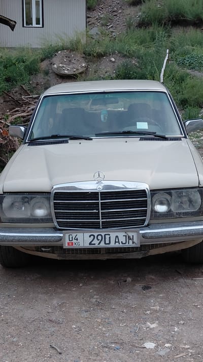 A beige Mercedes-Benz sedan is parked on a dirt road in front of a building in the city of Ak-Terek, Kyrgyzstan. The car's headlights are on, and its front grille is visible, featuring the Mercedes-Benz logo. The license plate of the car reads "04 KG 290 AJN". The building behind the car appears to be a residential structure with a white siding and a window. The surrounding environment is rustic, with dirt, rocks, and overgrown vegetation.