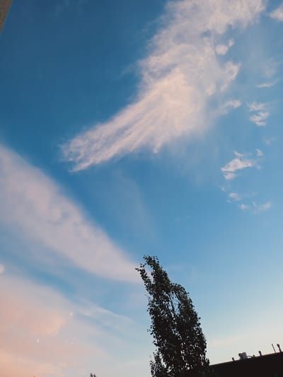 This is a photograph taken in Peetri alevik, Estonia, depicting a clear blue sky with scattered wispy clouds tinged with pink and orange, suggesting it is either sunrise or sunset. A silhouetted tree with sparse foliage stands tall on the right side of the frame, leaning slightly to the left. In the lower right corner, the dark silhouette of a building's roofline is visible, with some rooftop structures like vents or chimneys. The overall impression is a serene, atmospheric sky view with elements of urban landscape. There are no people or animals visible in the image. The image is captured from a low angle, looking upwards.