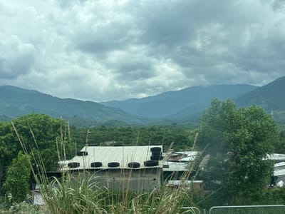 In Suối Tân, Vietnam, the image captures a rural landscape under a cloudy sky. In the foreground, tall, dry grass and reeds partially obscure a low-lying structure with a corrugated metal roof. Several old tires are placed on the roof of this structure, some in a row and others stacked. To the left, a large, leafy green tree stands prominently. Behind this, the terrain slopes upwards, covered in dense, lush vegetation that transitions into distant, hazy mountains. A power line stretches horizontally across the sky in the upper portion of the frame. The overall atmosphere is overcast and somewhat muted in color.