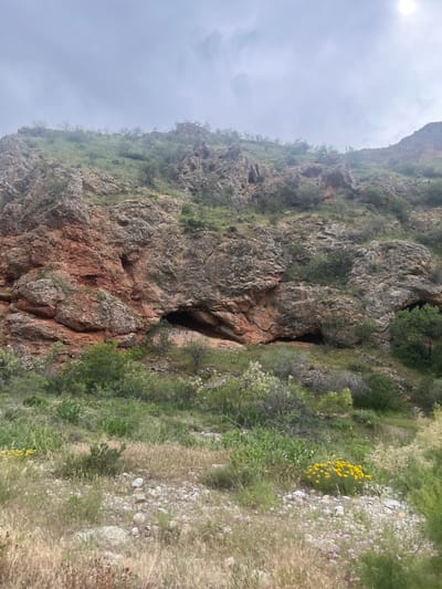 The image displays a rugged, natural landscape in Arpi, Armenia, dominated by a steep, rocky hillside under an overcast sky. The upper third of the frame is occupied by a light grey, cloudy sky, with a bright, diffused light source, consistent with the sun, visible in the upper right corner.
The central and left portions of the image feature a prominent rock formation. The rock face exhibits a varied coloration, primarily reddish-brown in the lower-left to mid-section, transitioning to a greyish-brown in other areas and towards the top. The texture is coarse and irregular, displaying natural erosion and numerous large rock outcroppings. Several dark, recessed openings or small cave entrances are visible along the lower part of the rock face, notably a larger, distinct opening situated slightly right of the vertical center of the image.
Vegetation is distributed across the scene. Sparse, small green bushes and trees with visible branches are present on the upper rocky slopes. The lower slopes and foreground are covered by a mix of dry, light-brown grasses and various green shrubs. A dense cluster of bright yellow flowers is prominently situated in the lower right quadrant, accompanied by smaller patches of pale pink or purple flowers nearby. The ground in the foreground also contains scattered light-colored gravel and small rocks. No human figures, man-made structures, or artificial objects are visible within the frame.