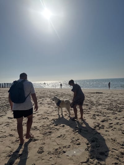 A group of people and a dog are on a sandy beach near the ocean under a bright, sunny sky. The sun is low in the sky, casting long shadows on the sand, suggesting it is either early morning or late afternoon. The ocean is calm with gentle waves.

In the foreground, a person wearing a white t-shirt, black shorts, and carrying a dark backpack is walking on the sand. Slightly further back and to the left, another person in a patterned dress is bending over, appearing to interact with a light-colored dog that is wearing a harness. The dog is facing away from the camera, and its tail is up. In the distance, several other figures are visible walking near the water's edge.

The scene appears peaceful and relaxed, typical of a beach outing. The sand is textured with footprints and small pebbles. The sky is clear, indicating fair weather. The presence of the ocean and the beach setting places the location in a coastal area. No visible text is present in the image.