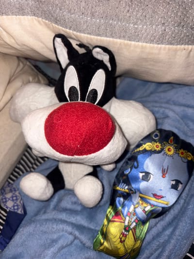 A black and white skunk plush toy with a red nose is nestled between blankets. A blue and gold pillow with a depiction of Krishna lies atop the blue blanket. The surrounding bedding appears to be a mix of light blue, beige, and gray textures. The skunk's head, with its large, expressive eyes, is visible, along with its body and small, round paws.
