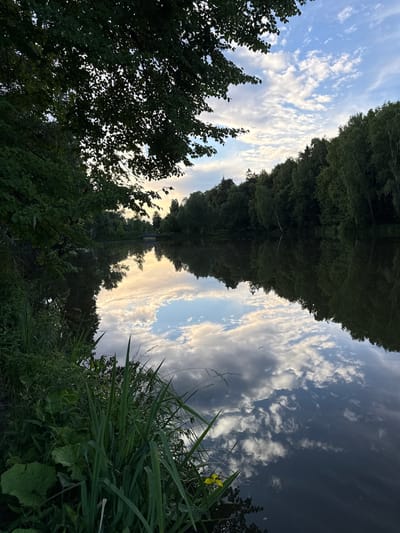 This is a vertical, outdoor, eye-level, full shot photograph with a dark color tone and a high contrast. The scene appears to be a reflection of trees and a sky with clouds on the surface of a body of water. The photograph is oriented sideways, with the water's surface acting as the horizon. Tall green trees line the banks of the water, their foliage dense and dark. The sky is a mix of blue and white, with fluffy clouds scattered throughout. The sun is setting or rising, casting a warm glow on the clouds, creating a serene and tranquil atmosphere. A small yellow flower is visible in the foreground, adding a touch of color to the scene. The overall impression is one of natural beauty and peacefulness. It is a summer evening in Russia. There is no visible text in the image.