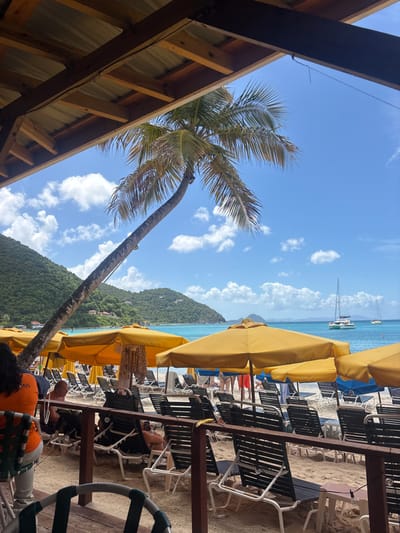 The image captures a sunny tropical beach scene, observed from under a covered, open-air structure. The location is Cane Garden Bay, Tortola, British Virgin Islands.

In the upper portion of the foreground, the underside of a corrugated metal roof supported by wooden beams is visible. A dark wooden railing spans the lower foreground. To the left, the back of a person with dark hair, wearing an orange shirt with "ONS" visible on the shoulder, is seated.

The midground features a sandy beach densely populated with numerous yellow beach umbrellas and rows of dark-colored lounge chairs. Several individuals are visible on the beach; some are seated, while others stand or walk closer to the water. A tall palm tree with a curved trunk, characteristic of tropical climates, extends from the left mid-frame towards the upper center. Lush green hills with scattered buildings ascend steeply on the left side of the bay.

The background consists of the clear turquoise ocean, which hosts several sailboats and catamarans. A prominent white catamaran with two masts is visible on the right. The sky above is bright blue with scattered white cumulus clouds.