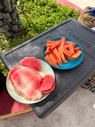 The image shows two plates of sliced fruit on top of a black cooler. One plate, blue, contains pieces of papaya. The other plate, white, contains sliced watermelon. The cooler is marked "CAMBRO." To the left of the cooler, there is a patch of green plants with small yellow flowers and a gray, textured surface. To the right, there is a patch of concrete. A woven bag is at the top left and clothing with a pattern is visible on the top right. It is daytime. The scene appears to be outside in Gulhi, Maldives.