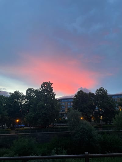 The image depicts a vibrant sunset or sunrise over an urban or suburban landscape in Pforzheim, Germany. The sky is the dominant subject, displaying a dramatic color gradient. On the left, the sky transitions from deep blue to purple and softer blue tones, gradually blending into an intense expanse of fiery pink and orange hues towards the right side of the frame. Scattered clouds, particularly prominent in the brightly colored sections, add texture to the celestial display.

Along the bottom and right side, a dense line of dark green trees forms a silhouetted boundary against the illuminated sky. Behind these trees, multi-story buildings are partially visible, with some windows showing internal lights, suggesting it is either dusk or dawn. Several streetlights emit warm, yellow-orange glows, puncturing the increasing darkness of the lower scene. A dark vertical pole or railing is visible along the extreme right edge, indicating a nearby structure or barrier.

Closer examination of the darker areas reveals what appears to be a pathway or rail track running horizontally across the lower part of the scene, bordered by fences and more foliage. Distant faint blue lights are also discernible within the urban structures. The image focuses on the natural phenomenon of the colorful sky contrasting with the dark silhouettes of the urban environment. No people or specific activities are visible. No text is present in the image.
