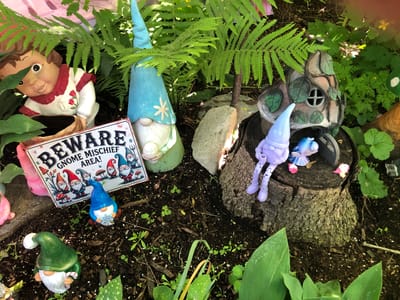 This image depicts a whimsical garden scene featuring an assortment of gnome figurines and a child-like garden ornament. In the foreground, a green-hatted gnome with a white beard is positioned on the left, holding a candy cane. To its right, a blue-hatted gnome is seated, holding a snowflake. Behind them, a metal sign reads "BEWARE GNOME MISCHIEF AREA!" and displays several gnome illustrations. A large, light blue-hatted gnome stands prominently behind the sign. To the right of the blue-hatted gnome is a rustic, mushroom-shaped gnome house with a circular window. A light purple gnome with articulated limbs is seated on a tree stump next to the gnome house, accompanied by a small blue bird figurine. A child-like garden ornament with rosy cheeks and a red-trimmed white outfit is visible on the far left, partially obscured by fern foliage. The scene is set outdoors, with dark soil, scattered leaves, and lush green plants, including ferns and broad-leafed vegetation, surrounding the figurines. The lighting suggests it is daytime, with shadows cast by the plants and figurines. There is no discernible city or specific location information provided within the image that would allow for identification of the city of Severn, Canada.