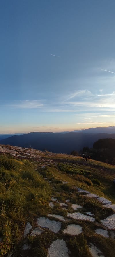This is a vertical, wide shot of a mountainous landscape at sunset, located in the city of Simeonovets, Bulgaria. The sky is a gradient of deep blue at the top, transitioning to lighter blues and oranges near the horizon. Wispy clouds are present, and two contrails from airplanes are visible in the sky. The foreground features a rocky, grassy slope with scattered wildflowers. A rough path made of large, flat stones winds through the grass. In the middle ground, two horses are grazing on a grassy incline. Behind them, a range of dark, silhouetted mountains stretches across the horizon, with a lighter, hazy mountain range visible further in the distance. The overall scene depicts a serene, natural environment bathed in the warm light of the setting sun.