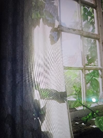 The image displays an interior perspective through a window located in Padajaya, Indonesia. The left side of the frame is dominated by a dark, vertically textured fabric curtain. To its right, a lighter, semi-transparent fabric with fine vertical striations extends, partially overlaying a multi-paned wooden window frame. Through the window, an outdoor environment is visible, characterized by vibrant green foliage, including discernible leaves and vines. Dark soil or earth is present directly beneath the window in the lower right section. Natural daylight illuminates the exterior, producing a distinct bright white flare or reflection within the bottom-right window pane. No human or animal subjects are present within the frame, nor are any specific actions or interactions depicted.