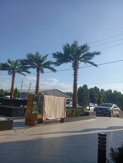 In Gulabad, Uzbekistan, three artificial palm trees stand tall against a clear blue sky, with electrical wires crisscrossing overhead. In the foreground, a paved walkway is bordered by dark granite planters. To the right, a modern dark gray sedan is parked. In the background, a low-rise building with a metal roof and some greenery is visible, along with several other parked vehicles. A large white tarp covers some outdoor display or equipment near the palm trees.