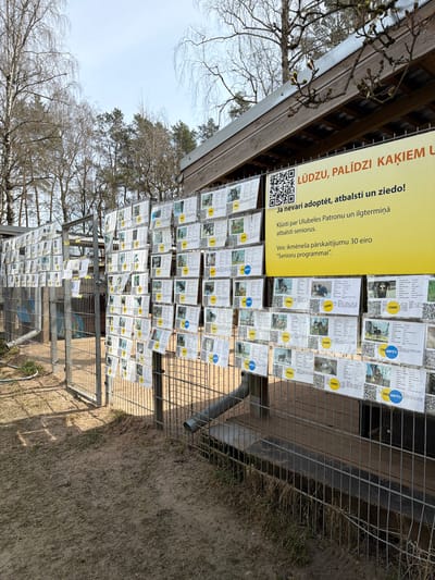 The image shows a metal fence with multiple informational signs attached to it. The signs feature photos of dogs and text in Latvian. A large yellow sign at the top reads "LUDZU, PALĪDZI KAĶIEM U" ("PLEASE, HELP CATS"), offering options for adoption, sponsorship, and donations. The signs below promote adoption of senior dogs from Ulubele animal shelter. The environment includes bare trees, dry grass, and parts of a wooden structure. This scene is likely located in Līči, Latvia, as the Ulubele animal shelter is based there.