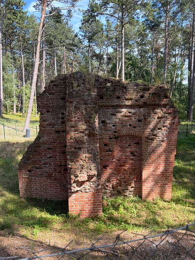 The image shows the ruins of a brick structure, likely a historical building, in a wooded area. The brickwork is aged and weathered, with parts of the wall crumbled and overgrown with vegetation. The structure has several openings and recesses, hinting at its former architecture. In the background, tall pine trees are visible, suggesting a forest environment. A wire fence runs across the foreground, partially obscuring the view. To the left of the ruins, a dark cylindrical object, possibly a bin or a marker, is visible behind the fence. The overall scene suggests a historical site that is being reclaimed by nature. This ruin is located in Łeba, Poland.