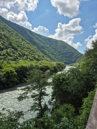 The image depicts a scenic view of a river flowing through a lush, green valley. The valley is flanked by steep, densely forested mountains. The river appears wide and turbulent, with light reflecting off its surface. The sky is blue with scattered white clouds, suggesting a bright, sunny day. The vegetation is predominantly green, with a mix of trees and undergrowth covering the mountain slopes and riverbanks. The perspective is from a higher vantage point, looking down and across the valley, with some foliage in the foreground obscuring a portion of the view. The overall impression is one of natural beauty and tranquility.