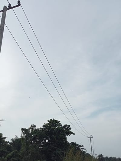 The image captures a view from Teluk Kenidai, Indonesia, dominated by a pale, overcast sky. Three dark, parallel electrical wires stretch diagonally across the frame from the upper left towards the lower right. A concrete utility pole with insulators is visible on the left, supporting the wires. Further to the right, another utility pole stands in the distance, also strung with wires. Below the wires, a dense line of lush green trees forms the horizon, with some taller, leafy trees in the foreground. The overall impression is one of an outdoor, possibly rural, setting under a subdued sky, with infrastructure for electricity delivery.