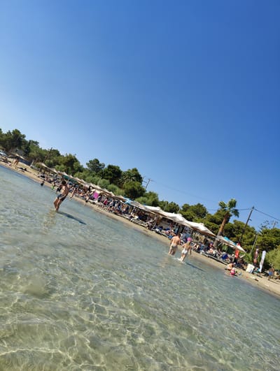 The image depicts a sunny day at a beach in Aegina, Greece. The scene is filled with people enjoying the water and the shore. In the foreground, the clear, shallow water is illuminated by sunlight, creating a shimmering effect on the sandy bottom. Several individuals are visible in the water, including a person in the middle of the frame walking out of the water and another couple walking towards the shore.

Along the beach, there are rows of umbrellas providing shade for beachgoers relaxing on lounge chairs. The shoreline is lined with trees and vegetation, suggesting a natural and picturesque setting. In the background, there are some buildings or structures, possibly part of a beach resort or restaurants. The sky is a clear, vibrant blue, indicating fair weather. The overall atmosphere appears relaxed and leisurely, typical of a summer day at the beach. The time of day is likely midday or early afternoon, given the bright sunlight and the activity on the beach. There is no visible text in the image.