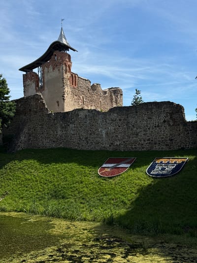 The image shows a section of the Dobele Castle ruins in Dobele, Latvia, under a bright blue sky with scattered white clouds. The castle is constructed of stone and brick, with sections of the walls in ruin and one tower featuring a modern metal roof supported by scaffolding. In front of the castle ruins, on a grassy embankment, are two decorative shields placed on the ground. The shield on the left displays a red and white striped pattern with a silver sword. The shield on the right has a blue background with a yellow crenellated top and an intricate dark blue and silver design in the center. A pond covered in green algae is visible in the foreground, and tall grass grows along its edge. The overall scene depicts a historical landmark on a sunny day.