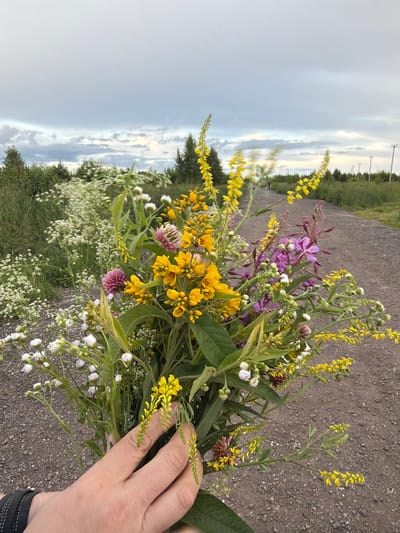 A hand holds a bouquet of wildflowers in this vertically oriented, medium shot. The flowers are a mix of yellow, purple, and white, with some green foliage. In the background, a gravel road leads into the distance, bordered by green grass and trees. Power lines are visible in the far distance. The sky is overcast, suggesting a cloudy day. The overall mood is natural and serene. The image appears to be taken in the late afternoon or early evening. The location is identified as Чёрная, Russia. There is no visible text in the image.