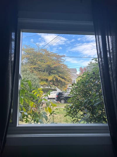 The image presents a daylight view of a residential street in Victoria, Canada, seen through a white window frame flanked by dark grey curtains. The upper section of the scene features a blue sky with scattered white cumulus clouds, traversed by multiple black utility lines. A large deciduous tree with green and yellow autumn foliage dominates the left-center, partially obscuring background elements. In the mid-ground, a paved street is visible, with a light-colored SUV parked ahead of a dark-colored SUV. Various green shrubs and smaller trees, some displaying early autumn yellowing, occupy the foreground and right side, partially framing the street view. Residential house structures with light-colored exteriors and grey roofs are visible in the background, beyond the street and larger trees. No individuals are present in the scene.