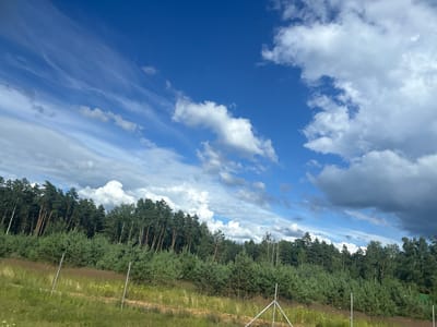 The image captures a panoramic view of a rural landscape under a dynamic sky. The foreground features a grassy field with scattered wildflowers and a dirt path. Two metal fence posts are visible in the field, with the remnants of a fence structure in the lower right corner. A dense line of trees, comprising a mix of coniferous and deciduous species, forms the mid-ground, stretching horizontally across the frame. The background is dominated by a vast blue sky with a mix of white cumulus clouds and wispy cirrus clouds, indicating fair weather with potential for changing conditions. The overall impression is one of a natural, undeveloped area. Based on the geographical context, this scene is located within the Grozavsky Selsoviet, Belarus, an area characterized by its predominantly agricultural and forested terrain.