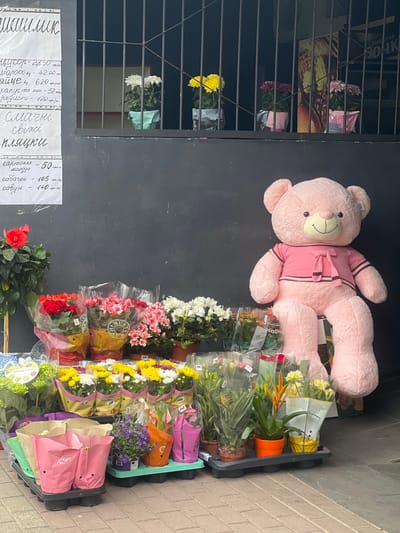 The image captures a street-side flower stand in Cherliany, Ukraine. The scene features a dark-colored wall with a barred window displaying assorted flowers inside. A large, pink teddy bear lies on top of the wall, next to a collection of flowers arranged in trays and wrapped in plastic, showcasing various colors and types. A poster with handwritten pricing information in Ukrainian is attached to the wall.