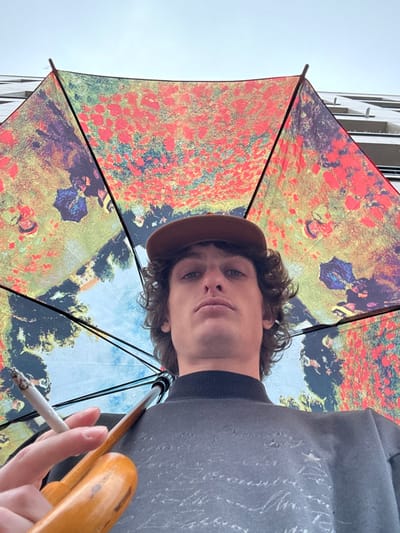 A low-angle shot features a person under a patterned umbrella. The umbrella's design appears to be an impressionistic painting with vibrant reds and blues, possibly depicting a field or garden scene. The person wears a dark sweatshirt and a brown cap, gazing downward at the camera with a neutral expression. They hold a lit cigarette in their hand. The sky and part of a building are visible in the background, suggesting an outdoor urban setting.