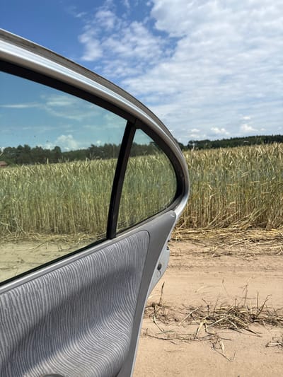 A car door is open in front of a field of golden wheat under a partly cloudy sky. The car door is made of gray fabric with a wave-like pattern and a silver-colored trim. The window of the car is reflecting the sky and some of the wheat field. The wheat field stretches towards a line of trees in the distance. The ground in front of the car is a dirt road with some dry grass and straw. There are no people or animals visible in the image. The scene appears to be in a rural area, possibly on the outskirts of Opatów, Poland, given the vegetation and agricultural landscape.