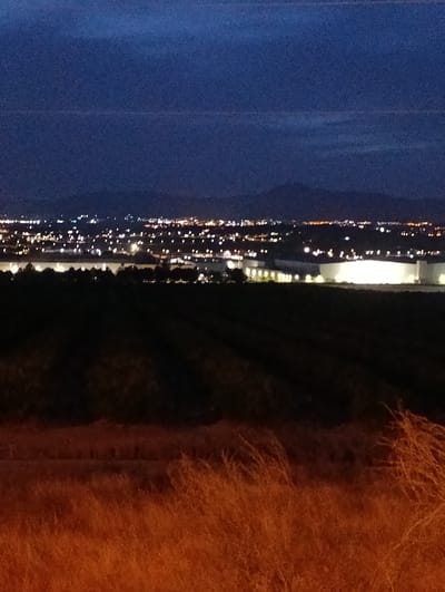 The image captures a nocturnal landscape overlooking the city of Santomera, Spain. The foreground consists of dry, orange-hued vegetation, likely grass or reeds, illuminated by an unseen light source. Beyond this, a dark, cultivated field stretches towards a line of trees silhouetted against the distant city lights. The city itself is a blur of white and yellow lights, indicating buildings and streetlights, spread across a wide area. Further in the distance, faint mountain ranges are visible against the dark blue sky. A large, brightly lit building complex, possibly industrial or commercial, stands out amongst the city lights. The overall impression is of a semi-rural area transitioning into an urban expanse at night. There are no people or animals visible in the image.