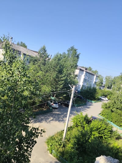 This image depicts a residential area in Shimanovsk, Russia, characterized by a multi-story apartment building, abundant green trees, and parked vehicles. The apartment building, a prominent structure in the scene, is light-colored with multiple windows and balconies. Several trees of varying sizes, including deciduous and coniferous varieties, are scattered throughout the area, casting shadows on the ground. Two cars are visible: a white hatchback parked on the street and a black sedan further down. A concrete utility pole with numerous wires is also present, a common sight in urban environments. The sky above is clear and blue, suggesting fair weather. The overall impression is that of a typical summer day in a Russian city.