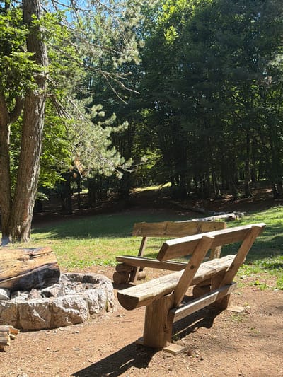 The image depicts a serene outdoor scene in a forest clearing, likely in Dolovi, Montenegro. In the foreground, a rustic stone fire pit is visible, surrounded by scattered logs. Adjacent to the fire pit are two wooden benches, weathered and simple in design, positioned to face the pit. The ground is a mix of dirt and pine needles, with patches of green grass.
Behind the benches, the forest extends into the background, characterized by a dense canopy of green trees. Sunlight filters through the leaves, casting dappled shadows on the ground. The overall ambiance is one of natural tranquility and a place prepared for outdoor activities such as camping or picnicking. There are no people visible in the immediate foreground or on the benches. A distant figure is faintly visible in the background, amidst the trees.