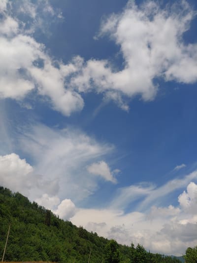 The image depicts a scenic view of a dense, green forested mountainside under a bright blue sky dotted with white clouds. The slope of the mountain runs diagonally from the lower left to the upper right of the frame, covered in a rich tapestry of trees. The sky occupies the upper portion of the image, featuring a mix of large, fluffy cumulus clouds and wispy cirrus formations. The overall impression is one of a natural landscape bathed in sunlight, likely taken on a clear day. No people, animals, or man-made structures are prominently featured, apart from what appear to be two utility poles on the left side of the image, suggesting a rural or semi-rural setting. The location in Chernyk, Ukraine, implies this is a view of the natural terrain surrounding the city.