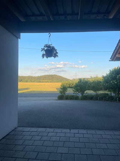 A view from a covered walkway shows a rural landscape under a clear blue sky with scattered clouds. In the foreground, a white wall is visible on the left, and a tiled walkway leads to an asphalt driveway. A potted plant hangs from a hook in the upper center of the frame. Beyond the driveway, a field of golden grass is bordered by a line of trees on a gentle slope, with a power line tower in the distance. The image appears to have been taken in Cham, Germany, possibly during the late afternoon or early evening, given the lighting.