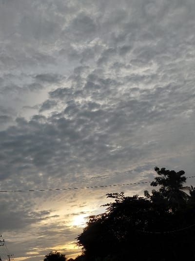 The image depicts an outdoor landscape scene in Lhok Mereubo, Indonesia, at either sunrise or sunset. The sky, occupying the upper two-thirds of the frame, is largely overcast with dense, patchy grey and white stratocumulus clouds. A bright, golden-yellow light source, indicative of the sun, is visible in the lower-left to mid-left section of the sky, partially obscured by clouds and foreground elements, casting a radiant glow. The lower third of the image features dark, silhouetted forms of dense tropical trees and foliage, concentrated on the right side and extending across the lower foreground. A single, dark, taut electrical or communication cable stretches horizontally across the mid-ground of the image, traversing the frame from left to right. On the far left, a utility pole with several vertical and horizontal lines is partially visible. No human subjects, animals, or explicit actions are present.