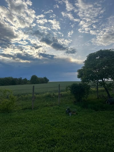 The image shows a landscape scene, possibly rural, under a cloudy sky. The landscape is divided into grassy areas, possibly a field, and trees. There's a fence line visible in the midground. The location is unknown, there is no city named Kashin in Bulgaria.
