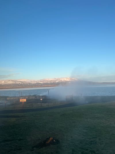 The image captures a geothermal area on the shore of Lake Laugarvatn, Iceland, under a clear, bright blue sky. In the foreground, a dark green grassy slope recedes, traversed by a narrow, dark dirt or gravel path curving from the lower left towards the right midground. A dark, irregular object rests on the grass in the lower-left quadrant.
In the midground, a fenced enclosure is positioned along the lake's edge. This area exhibits active geothermal features, with multiple plumes of white steam rising from the ground and water surface. A particularly dense steam plume emerges from the right side of the enclosure, partially obscuring the lake and distant background. Within the fenced perimeter, several dark, rectangular structures are visible. A yellow rectangular warning sign with dark text, partially legible as "HEITUR" (Icelandic for "Hot"), is prominently displayed on the left side of the enclosure. A smaller sign with a red border is also present further right along the fence line.
The background features the calm, rippling surface of Lake Laugarvatn, beyond which a range of snow-capped mountains stretches horizontally across the horizon, illuminated by direct sunlight. The sky above is entirely clear and blue, with no significant cloud cover. No individuals, animals, or vehicles are present within the scene.