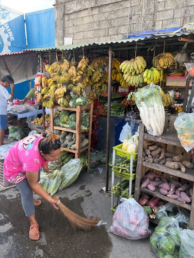This image depicts an outdoor market scene in Dagupan City, Philippines. A woman in a pink shirt and grey leggings is sweeping the ground with a broom. She wears pink sandals. In front of her are large, clear plastic bags filled with green produce, possibly bananas or plantains. Behind her, a wooden stall displays a variety of fresh produce including bananas hanging in bunches, leafy green vegetables like broccoli and cabbage, and root vegetables such as yams and sweet potatoes. A man in a white t-shirt and blue shorts stands to the left, near a table laden with more fruits and vegetables. The market is set against a backdrop of a brick wall and a blue corrugated metal structure. The ground is paved and appears wet in some areas.