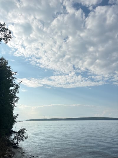 This image depicts a serene natural landscape by a body of water, likely a lake or large river, under a partially cloudy sky. On the left side of the frame, a dense line of dark green trees, appearing to be evergreen and deciduous varieties, forms a sharp contrast against the lighter sky. The shoreline below the trees is rocky and appears to be made of pebbles and sand, with a few fallen branches visible. A small, leaning tree extends precariously over the water from the bank.
The water itself is calm, with subtle ripples reflecting the light and sky. In the distance, a long, treelined horizon stretches across the frame, suggesting the presence of land on the opposite side of the water. Two tall, slender electrical pylons are visible on this distant shore, standing out against the backdrop of trees and sky. The sky is a mix of pale blue and white, with numerous cumulus clouds scattered across it, some casting soft shadows and others illuminated by sunlight. Rays of light appear to be breaking through the clouds, creating a subtle atmospheric effect. There are no people or animals visible in the scene.
The location is identified as the city of Lyady, Russia. The overall impression is one of tranquility and natural beauty, with the human-made elements of the electrical pylons being the only discernible signs of civilization in this otherwise wild landscape.