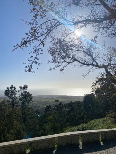 The photograph captures a vista in Esposende, Portugal, taken from an elevated position. In the foreground, tree branches with budding leaves frame the upper left of the image. To the right, dense green foliage extends downwards, meeting a stone wall structure. The central view opens to a distant expanse, possibly the Atlantic Ocean, shimmering under a bright sun. The land below, between the observer and the water, suggests a coastal plain dotted with buildings and green fields. The sky is a gradient of blue, fading to a lighter hue near the horizon due to atmospheric haze. The sun's glare creates lens flares across the upper left portion of the frame.