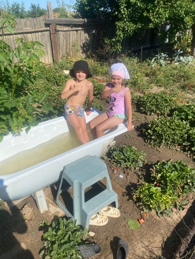 Two young children, a boy and a girl, are sitting in an outdoor bathtub filled with water. The boy is wearing patterned swimming trunks and a dark bucket hat. The girl is wearing a pink and white striped swimsuit with a white headscarf. They are both giving a thumbs up. The bathtub is placed on wooden blocks in a garden. There is a blue plastic step stool next to the bathtub. In the background, there is a wooden fence and lush green vegetation, including strawberry plants with some visible red berries. The ground is dry and dusty. The scene appears to be a warm, sunny day.