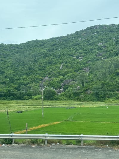 The image depicts a lush green rice paddy field in front of a densely vegetated, rocky hill. A grey metal guardrail separates the foreground road from the rice field. In the middle ground, a wooden utility pole with power lines stretches across the frame, connecting to a smaller pole within the field. The rice field is predominantly bright green, with some areas showing signs of a drier, yellow hue. The hill is covered in thick green foliage, with large grey rocks interspersed throughout. The sky is overcast and pale blue. The location is identified as Hoa Xuan, Vietnam.