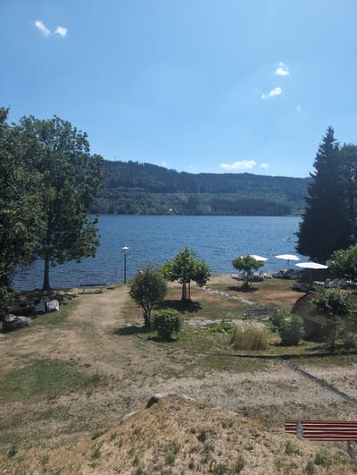 This image captures a serene view of the Titisee lake in Titisee-Neustadt, Germany. The foreground features a dry, grassy area with a few trees and bushes. A red park bench is visible in the lower right corner. Beyond the grassy area, the lake stretches out, reflecting the clear blue sky dotted with a few small white clouds. Hills covered in dense green forest rise on the opposite side of the lake. Along the shoreline, there are several white lounge chairs with umbrellas, suggesting a recreational area. A few people are scattered on the beach and in the water, with one person in a kayak on the lake. A lamppost stands near the water's edge. The overall scene depicts a tranquil summer day at the lake.