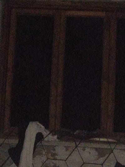 The image depicts a dimly lit scene. In the foreground, there is a white object that appears to be a swan neck, possibly part of a statue or fountain, positioned against a patterned surface. Behind this, a dark, indistinct background suggests a window frame with vertical dividers, implying an interior space or an exterior view obscured by darkness. The overall lighting is poor, with visible grain and noise, making it difficult to discern finer details of the environment. No specific location within Veremia, Ukraine, can be identified from the visual information provided.