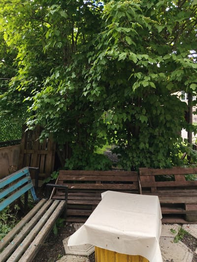 The image depicts an outdoor scene, likely in a backyard or garden area. Dominating the upper portion of the frame is a large, leafy green tree, its branches extending widely. In the foreground and mid-ground, several wooden elements are visible. There are two benches constructed from wooden planks, one of which has a blue painted section. Behind these benches, more wooden structures that appear to be repurposed pallets are stacked or arranged. A portion of a yellow cylindrical object, covered with a light-colored textured fabric, is in the lower right corner. The ground is covered with gravel and some scattered leaves. The overall impression is one of a rustic, outdoor space, possibly an area designed for relaxation or informal gathering, with elements suggesting DIY construction or reuse of materials. The location is identified as Bakuriani, Georgia. There are no people visible in the image.