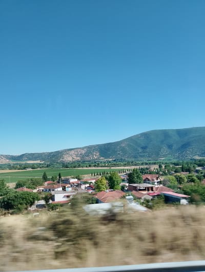 A high-angle, wide shot captures a rural landscape under a clear blue sky. In the foreground, dry, yellowish grass is blurred due to motion, suggesting the photo was taken from a moving vehicle. Beyond the grass, a cluster of buildings with red-tiled roofs forms a village. These structures are a mix of single and multi-story buildings, some appearing partially under construction or in disrepair, with exposed brickwork and unfinished sections visible.

The village is nestled amidst lush green vegetation, with numerous trees dotting the scene. In the middle ground, a rectangular field of vibrant green crops is bordered by a line of tall, slender trees. Further back, rolling hills covered in sparse, dry vegetation rise towards a large, imposing mountain that dominates the horizon. The mountain has a rugged, textured surface with patches of green and brown. The overall impression is one of a quiet, rural setting in a mountainous region. The location is identified as Piniada, Greece.