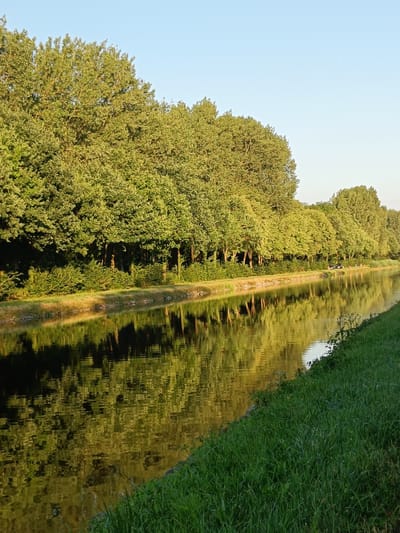 This is a landscape photograph of a canal lined with trees on the left bank, with a grassy embankment on the right. The canal reflects the trees and the clear blue sky. In the distance, on the left bank, there are a few people and what appears to be a small vehicle. The lighting suggests it is either early morning or late afternoon. The scene is located along the canal in Haacht, Belgium, specifically on the Brussels-Scheldt Canal. The photograph is taken from the perspective of someone standing on the grassy embankment on the right side of the canal, looking downstream. The water is calm and reflects the surrounding environment, creating a mirror image effect. The trees are lush and green, indicating it is likely summer. The grass on the embankment is also green and appears to be well-maintained.