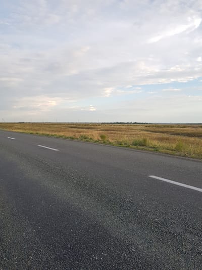 An asphalt road with white lane markings runs diagonally from the lower left to the upper right of the image. The road is bordered on the right by dry, golden-brown grass and some green vegetation. In the distance, a flat, open landscape stretches to the horizon, dotted with scattered trees and utility poles. The sky is filled with scattered white and grey clouds against a pale blue background. The scene appears to be located in the vicinity of Дөлен ауылдық округі, Kazakhstan, suggesting a rural or steppe environment. There are no people or animals visible in the frame.