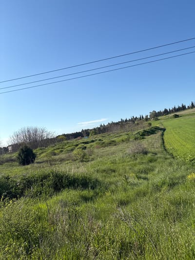 A landscape photograph shows a grassy field extending along the right side of the image, transitioning from shorter mown grass near the top to taller, thicker vegetation near the bottom. A line of trees borders the edge of the field. The left side of the image is dominated by a clear blue sky with three black power lines running vertically. The location is likely in the Oraiokastro Municipal Unit, Greece.