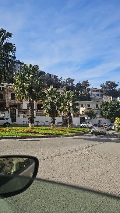The image depicts an urban street scene in Bir Mourad Rais, Algeria, under a clear blue sky with sparse cirrus clouds. The perspective is from inside a vehicle, with the lower left quadrant showing a portion of a black car side mirror reflecting architectural elements and the vehicle's window casting a diagonal shadow across the lower frame.
In the midground, an asphalt road surface occupies the majority of the lower half, with a light gray-green color. A raised, manicured grassy median strip, featuring three evenly spaced palm trees with visible trunks and green fronds, divides the road. Behind the median, a short, decorative metal fence with a wave pattern is visible.
On the left side of the street, a multi-story building complex with light-colored facades and dark-framed windows is prominent. A white SUV, possibly a Jeep, is parked facing right on the street adjacent to this complex. Further up the hillside, additional buildings with similar architectural styles are visible, interspersed with dense green foliage.
On the right side of the street, several vehicles are present on the asphalt. A silver hatchback, consistent with a Peugeot 208, is positioned closest to the viewer, followed by a line of other cars, predominantly white or light-colored, extending into the distance. More multi-story buildings and substantial green trees are visible on the far side of the street, extending up a gradual incline. No individuals are distinctly visible in the scene.