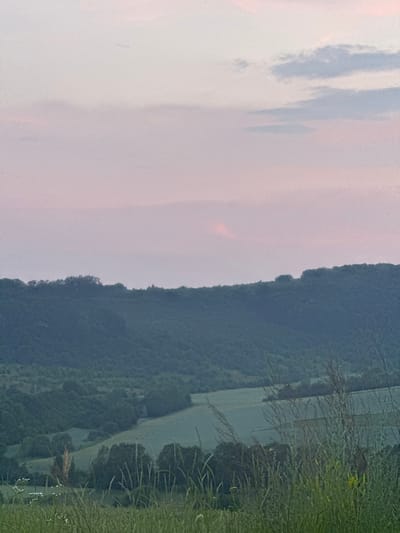 The image depicts a panoramic view of a valley at dusk. In the foreground, tall grasses and wildflowers are visible, suggesting a natural, uncultivated area. Beyond the immediate foreground, the landscape slopes down into a valley characterized by rolling hills covered in dense green foliage, indicative of a forest. A section of farmland, appearing as a lighter green expanse, is nestled within the valley. The background features a distant treeline atop a hill, with a soft, pinkish-gray sky overhead, implying the approach of twilight or dawn. The scene is peaceful and natural, with no human presence or activity immediately apparent. The location is identified as being in Pavliv, Ukraine.