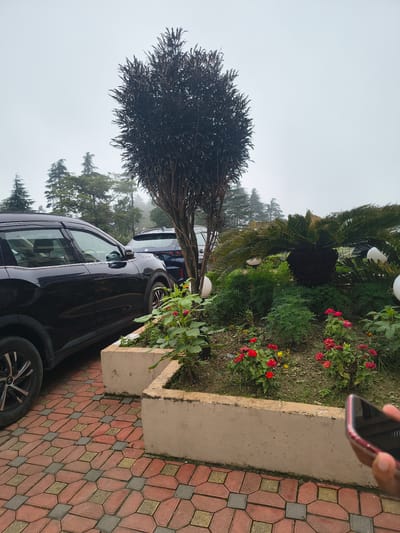 A black SUV is parked on a decorative brick paver driveway. In front of the SUV is a landscaped garden bed with a dark, bushy tree, a palm-like plant, and red flowers. The background shows a misty, overcast sky and tall evergreen trees, typical of a mountainous region. A person's hand holding a red-cased smartphone is visible in the lower right corner of the frame. The location is identified as Khaniara, India.